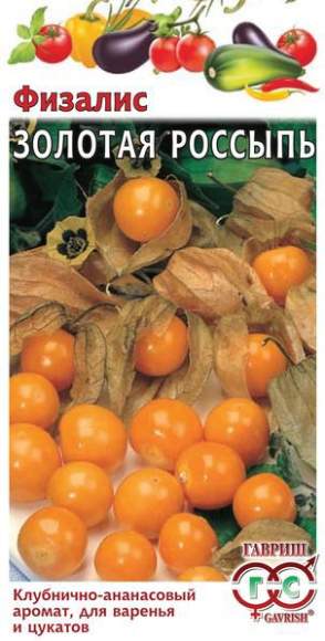 Физалис Золотая россыпь (гавриш) 20 шт – купить в г. Волгоград Физалис Золотая россыпь (гавриш) 20 шт – купить в г. Волгоград
