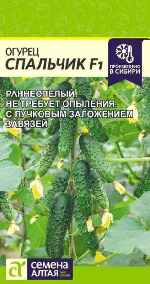 Огурец Спальчик F1 (семена Алтая) 6шт  – купить в г. Волгоград