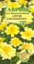 Бархатцы Алюмия ванильный крем (гавриш) 7 шт  – купить в г. Волгоград