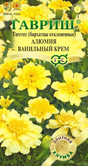 Бархатцы Алюмия ванильный крем (гавриш) 7 шт  – купить в г. Волгоград