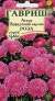 Астра Эрфуртский карлик Роза (гавриш) 0,3гр  – купить в г. Волгоград