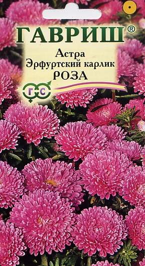 Астра Эрфуртский карлик Роза (гавриш) 0,3гр  – купить в г. Волгоград