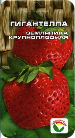 Земляника крупноплодная Гигантелла (сибирский сад) 10 шт  – купить в г. Волгоград