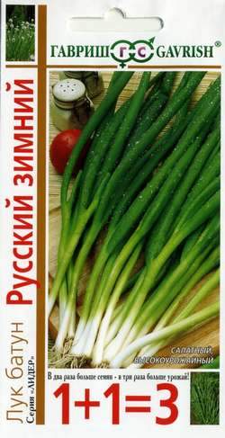 Лук батун Русский зимний (1+1=3) (гавриш) 1,0 гр  – купить в г. Волгоград