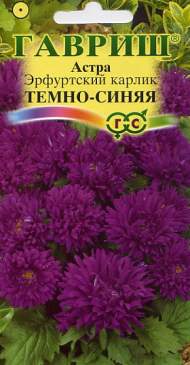 Астра Эрфуртский карлик темно-синяя (гавриш) 0,3гр