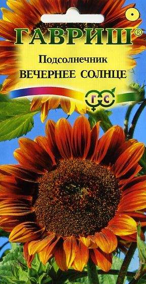 Подсолнух декоративный Вечернее солнце (гавриш) 0,5 гр  – купить в г. Волгоград