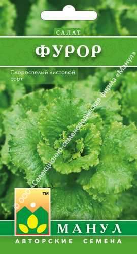 Салат листовой Фурор (манул) 0,5 гр  – купить в г. Волгоград