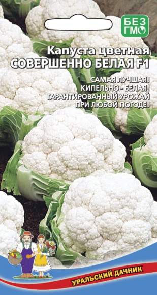 Капуста цветная Совершенно белая F1 (уральский дачник) 0,2 гр – купить в г. Волгоград Капуста цветная Совершенно белая F1 (уральский дачник) 0,2 гр – купить в г. Волгоград