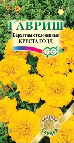 Бархатцы Креста голд (гавриш) 7шт  – купить в г. Волгоград