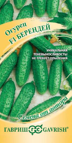 Огурец Берендей F1 (гавриш) 10 шт  – купить в г. Волгоград