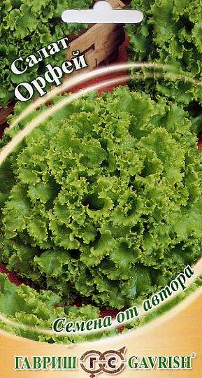 Салат листовой Орфей (гавриш) 1,0 гр  – купить в г. Волгоград