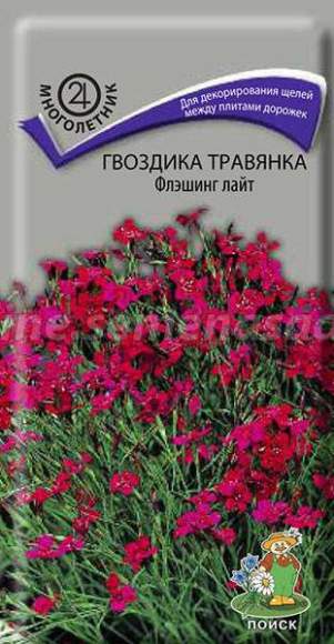 Гвоздика травянка Флэшинг Лайт (поиск) 0,1г  – купить в г. Волгоград