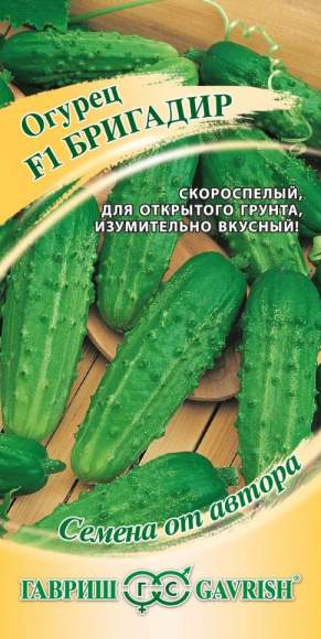Огурец Бригадир F1 (гавриш) 10шт – купить в г. Волгоград Огурец Бригадир F1 (гавриш) 10шт – купить в г. Волгоград
