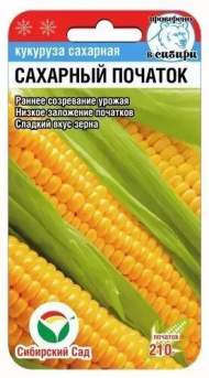 Кукуруза Сахарный початок (сибирский сад) 6 шт Кукуруза Сахарный початок (сибирский сад) 6 шт
