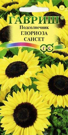 Подсолнечник декоративный Глориоза сансет (гавриш) 0,5 гр  – купить в г. Волгоград