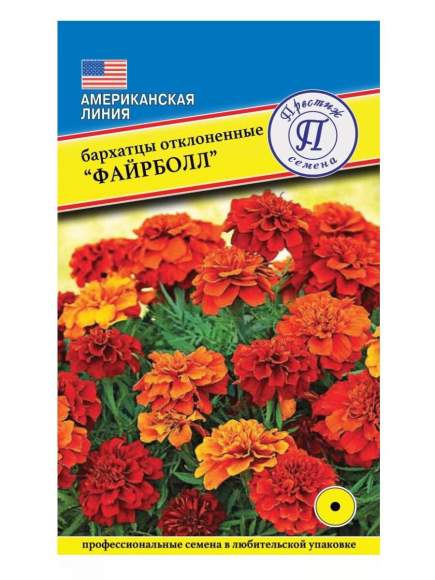 Бархатцы Файрболл (престиж) 5 шт  – купить в г. Волгоград