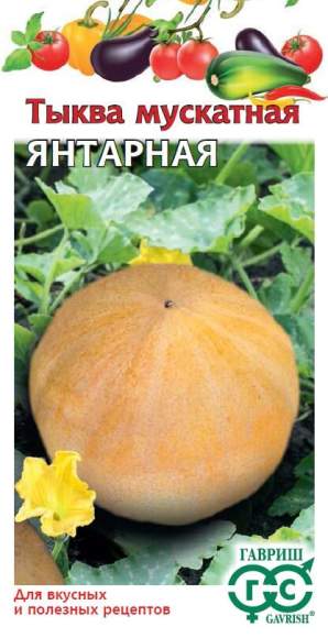 Тыква мускатная Янтарная (гавриш) 1гр  – купить в г. Волгоград