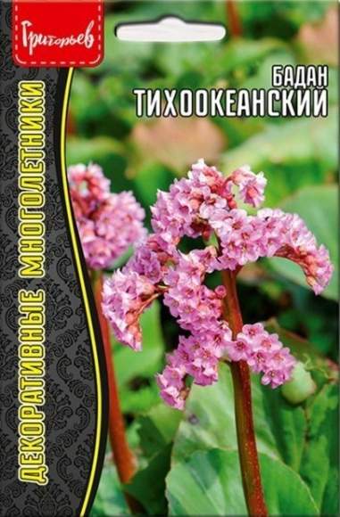 Бадан Тихоокеанский (Григорьев) 0,01 гр  – купить в г. Волгоград