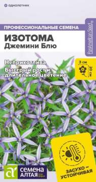 Изотома Джемини Блю (семена Алтая) 3 шт Изотома Джемини Блю (семена Алтая) 3 шт