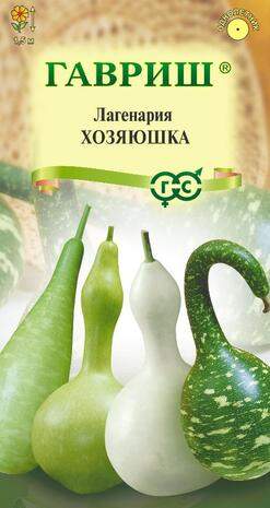 Лагенария Хозяюшка (гавриш) 5 шт – купить в г. Волгоград Лагенария Хозяюшка (гавриш) 5 шт – купить в г. Волгоград
