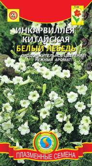Инкарвиллея Белый лебедь (плазмас) 7 шт