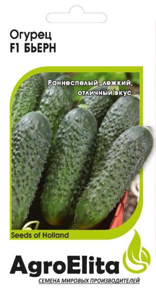 Огурец Бьерн F1 (агроэлита) 5шт (bejo)  – купить в г. Волгоград