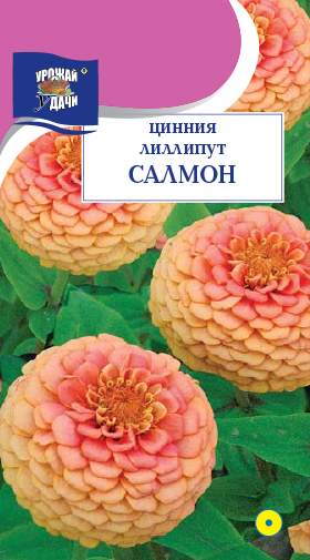 Цинния Лиллипут салмон (урожай удачи) 0,3 гр  – купить в г. Волгоград