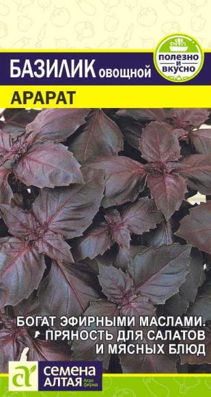 Базилик Арарат (семена Алтая) 0,3 гр – купить в г. Волгоград Базилик Арарат (семена Алтая) 0,3 гр – купить в г. Волгоград