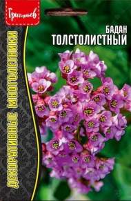 Бадан Толстолистный (Григорьев) 0,01 гр Бадан Толстолистный (Григорьев) 0,01 гр