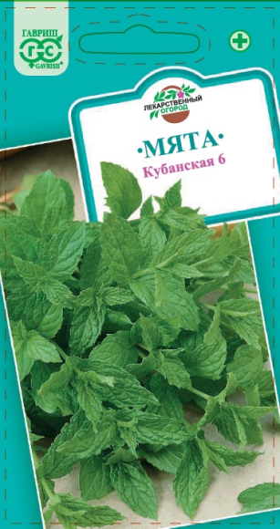 Мята Кубанская-6 (гавриш) 0,05 гр  – купить в г. Волгоград