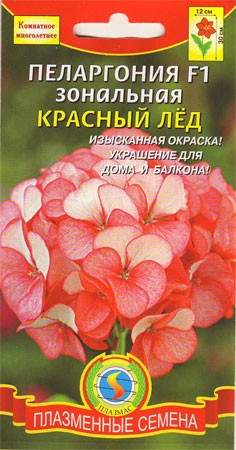 Пеларгония Красный лед F1 (плазмас) 3 шт  – купить в г. Волгоград