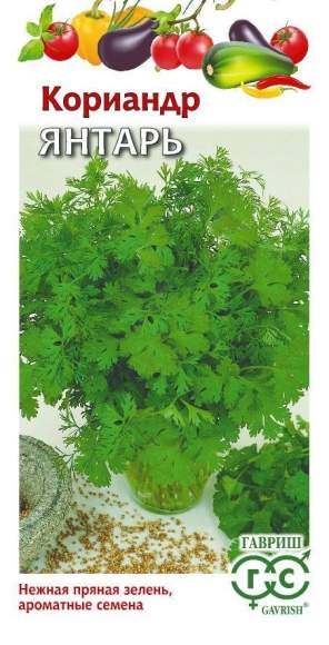 Кориандр (кинза) Янтарь (гавриш) 2,0 гр  – купить в г. Волгоград