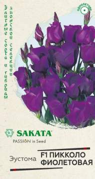 Эустома Пикколо фиолетовая F1 (г) 4шт