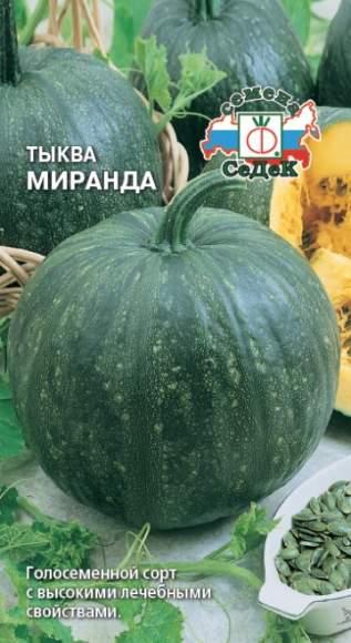 Тыква Миранда (седек) 1,5гр  – купить в г. Волгоград