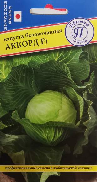 Капуста белокочанная Аккорд F1 (престиж) 10 шт  – купить в г. Волгоград