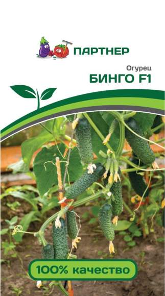 Огурец Бинго F1 (партнер) 5 шт – купить в г. Волгоград Огурец Бинго F1 (партнер) 5 шт – купить в г. Волгоград