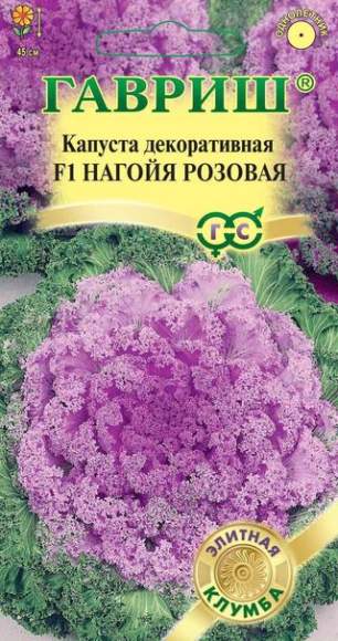 Капуста декоративная Нагойя розовая F1 (гавриш) 6 шт  – купить в г. Волгоград