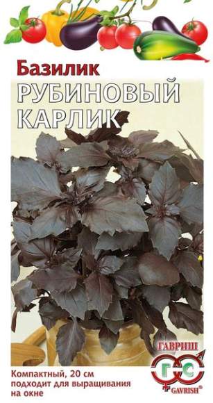 Базилик Рубиновый карлик (г) 0,1гр  – купить в г. Волгоград