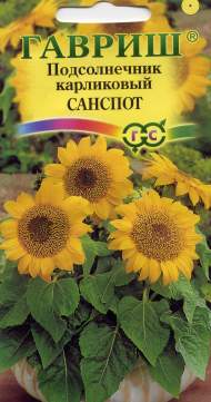 Подсолнух декоративный Санспот (гавриш) 0,5 гр