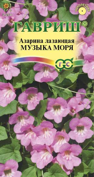 Азарина Музыка моря (г) 4шт  – купить в г. Волгоград