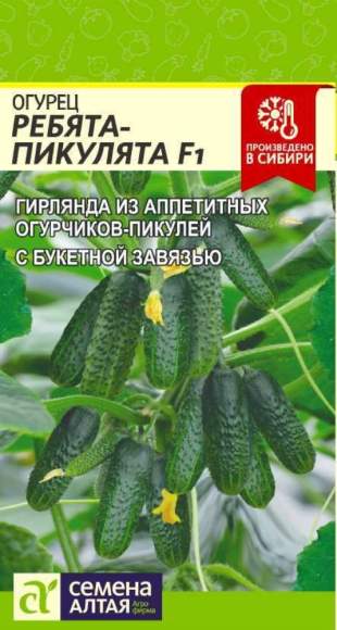 Огурец Ребята-пикулята F1 (семена Алтая) 5шт  – купить в г. Волгоград