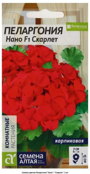 Пеларгония Нано F1 скарлет карливовая (семена Алтая) 3 шт – купить в г. Волгоград Пеларгония Нано F1 скарлет карливовая (семена Алтая) 3 шт – купить в г. Волгоград