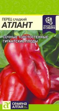 Перец сладкий Атлант (семена Алтая) 0,1 гр