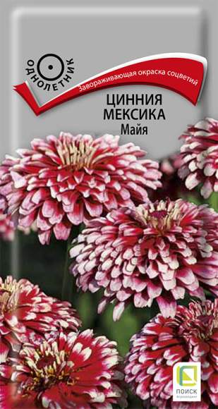 Цинния Мексика Майя (поиск) 10 шт  – купить в г. Волгоград