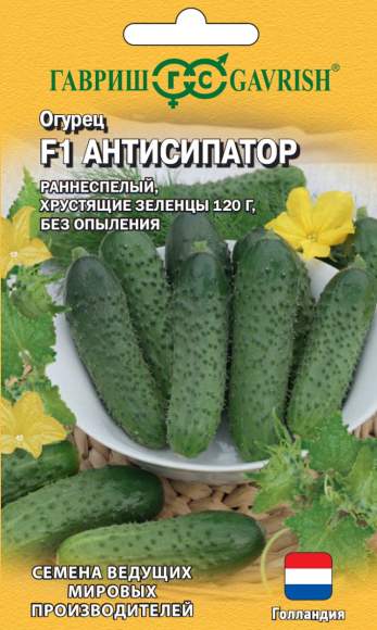 Огурец Антисипатор F1 (гавриш) 5 шт (Голландия) – купить в г. Волгоград Огурец Антисипатор F1 (гавриш) 5 шт (Голландия) – купить в г. Волгоград