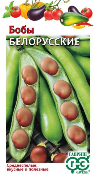 Бобы Белорусские (гавриш) 10 шт – купить в г. Волгоград Бобы Белорусские (гавриш) 10 шт – купить в г. Волгоград