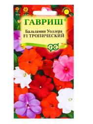 Бальзамин Тропический смесь F1 (гавриш) 4шт Бальзамин Тропический смесь F1 (гавриш) 4шт