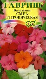 Бальзамин Тропический смесь F1 (гавриш) 4шт – купить в г. Волгоград Бальзамин Тропический смесь F1 (гавриш) 4шт – купить в г. Волгоград