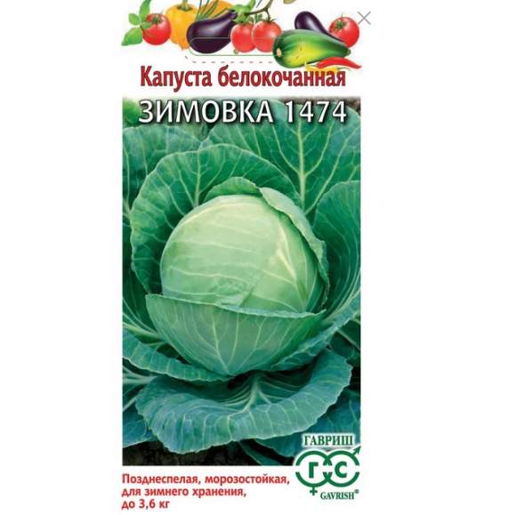 Капуста белокочанная Зимовка 1474 F1 (гавриш) 0,5 гр – купить в г. Волгоград Капуста белокочанная Зимовка 1474 F1 (гавриш) 0,5 гр – купить в г. Волгоград