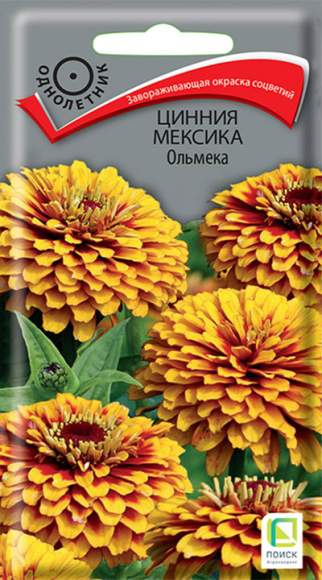 Цинния Мексика Ольмека (поиск) 10шт  – купить в г. Волгоград